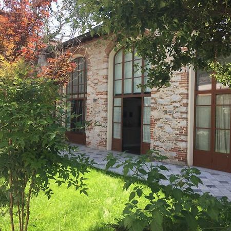 Il Vecchio Studio Pietrasanta Exteriör bild